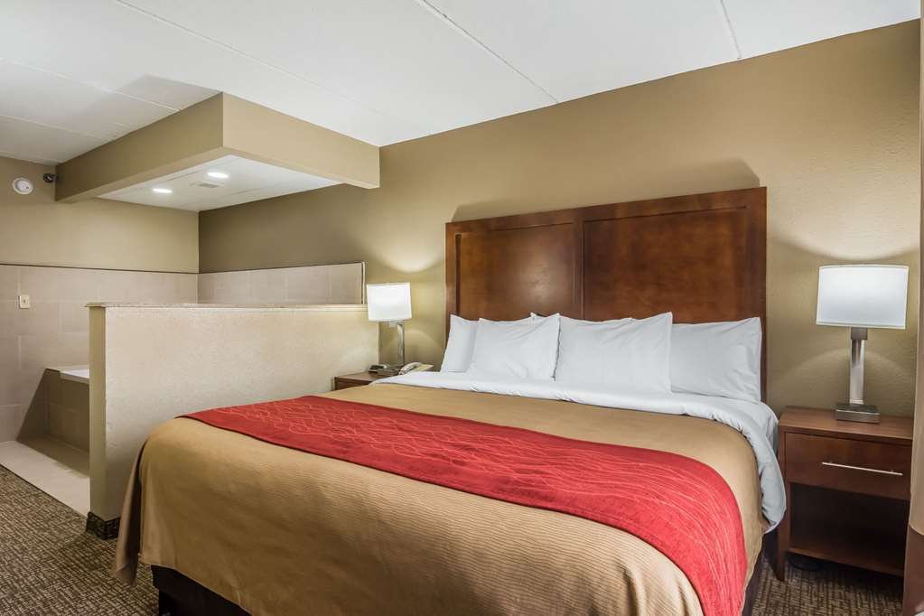 Comfort Inn & Suites Hamilton Place Chattanooga Rum bild